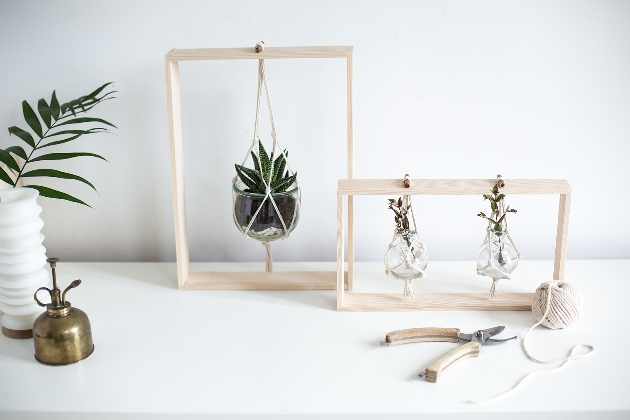 [ DIY ] Des cadres végétaux pour sublimer votre décoration - La Délicate  Parenthèse