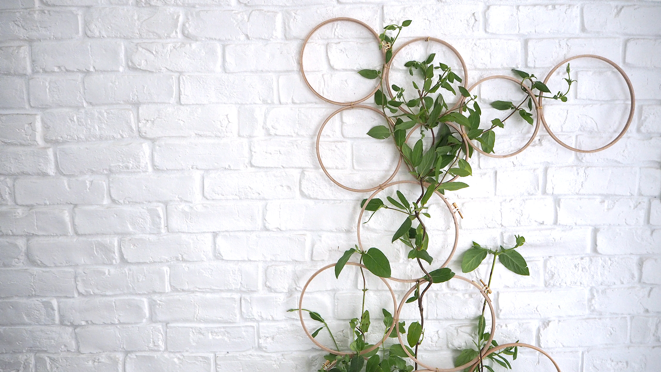 DIY mur végétal : comment le faire soi même - Marie Claire